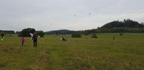 obrázek
